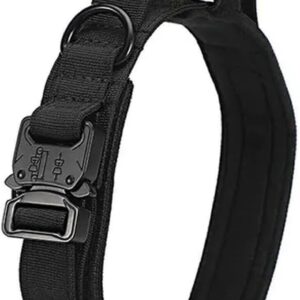 Collare Cane LXYUTY Premium in Nylon per Cani Taglia M MEDIA GRANDE